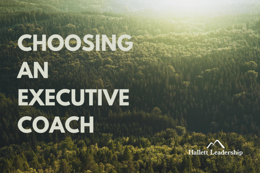 Executive and coach engaged in a focused one-on-one session